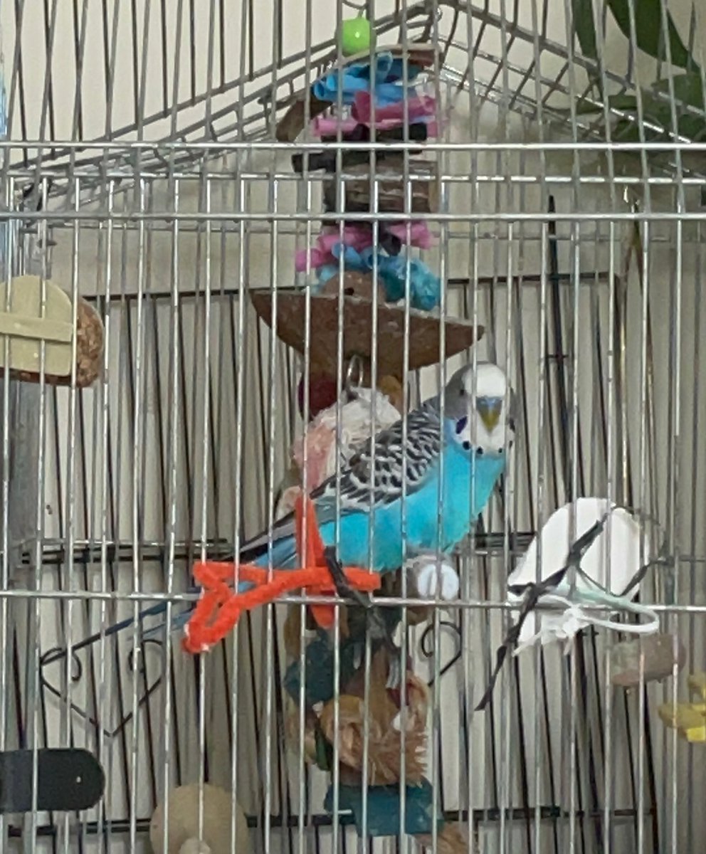 Shantia Thompson tweet media