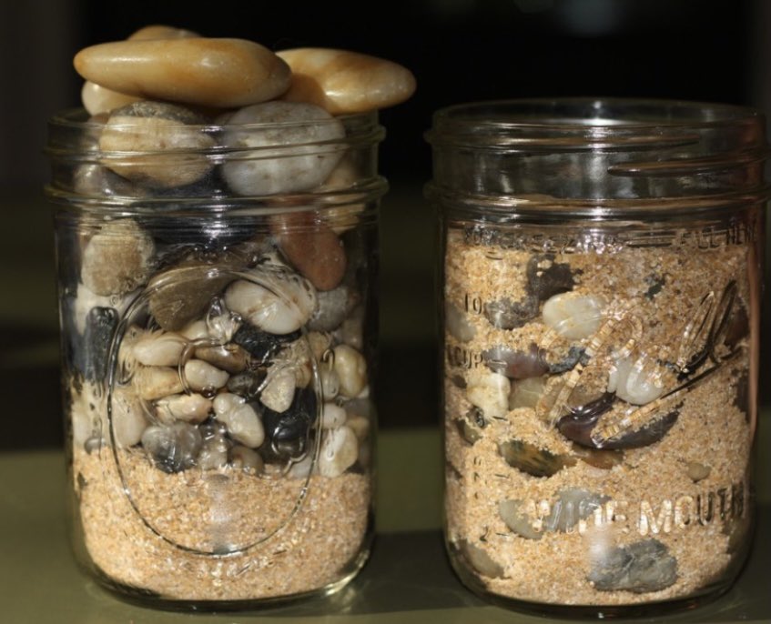 HannahNordhues's tweet photo. @vidhu_anand @pattypellikka @KyleWKlarich @PanithayaC @AMarshallMD @SharonneHayes @kylalaraMD @alisa_duran Someone told me priorities are like big rocks and pebbles. If you fill your jar with pebbles, you don’t have room for big rock priorities. But if you put the big rocks in first, you can fit little pebbles in all around. #bigrocksfirst https://t.co/st05Ep2nKy