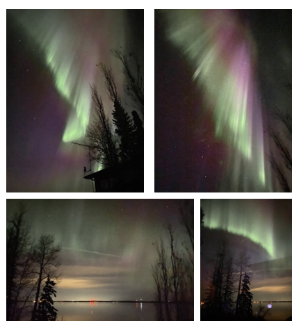 MindAliveInc's tweet photo. The LED lights in our Tru-Vu eyesets can make some interesting patterns and colors, but nothing like Mother Nature's light show here in Edmonton last night! Photo credit Nancy Siever #MindAlive #DancingInOurDendrites #AuroraBorealis #NorthernLights https://t.co/tQDaH7E0LG