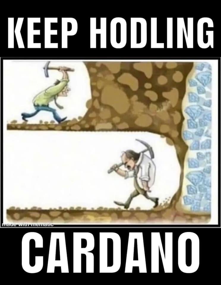 D₳ Vinci | Vince 🎨 SPO tweet media