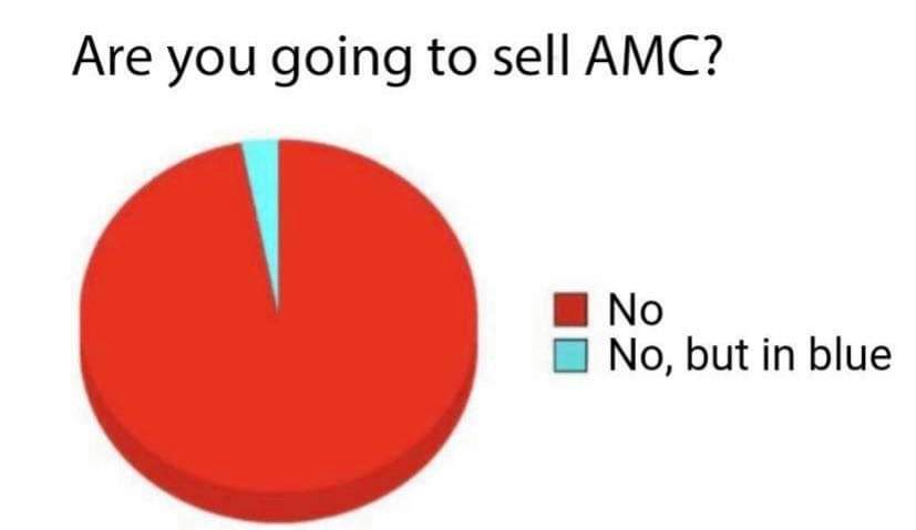 MeowMerica's tweet photo. #AMCtothemoon because it's still accurate. https://t.co/MirUYAHmyF