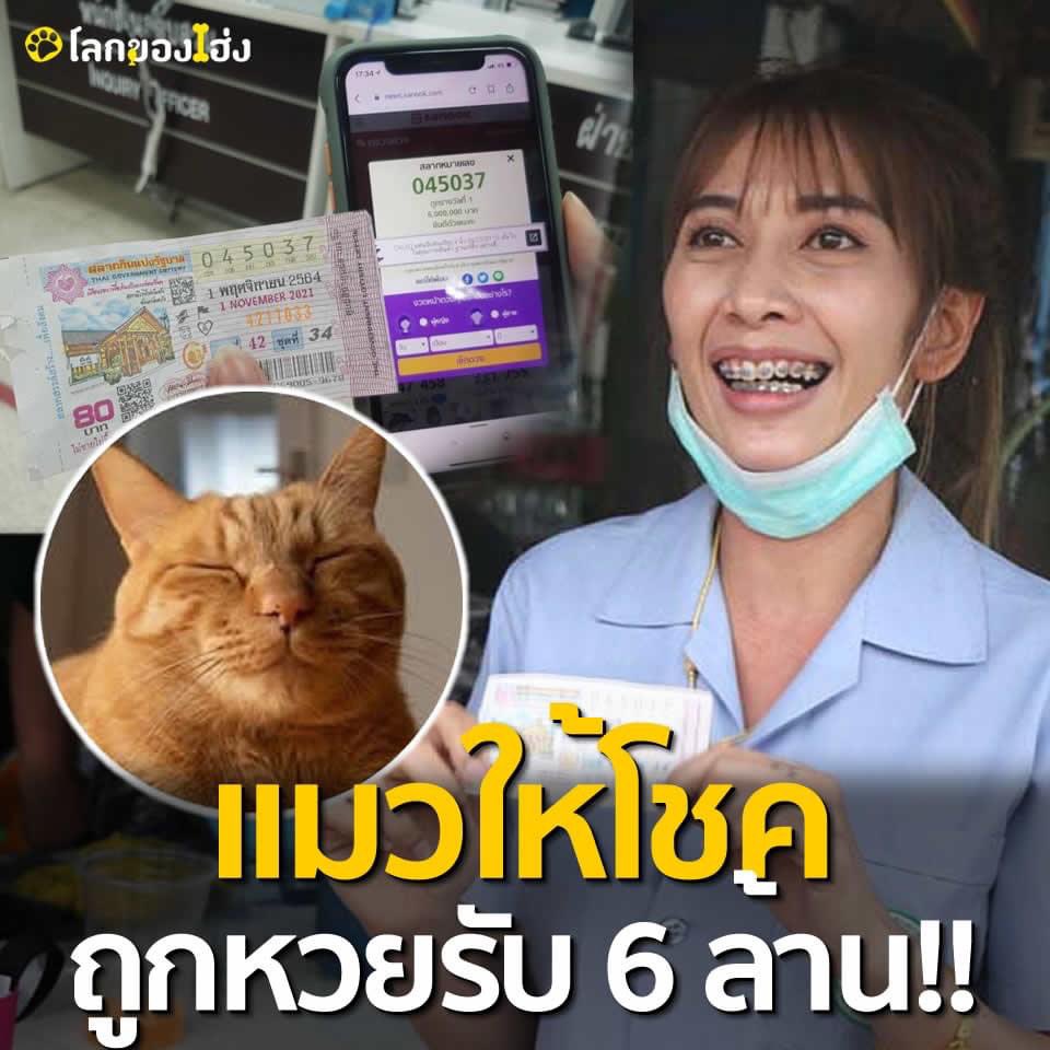 MACUSXO's tweet photo. หนูชอบเลขไหนไหมลู�� @ldhx_ https://t.co/jYpHjuXR51