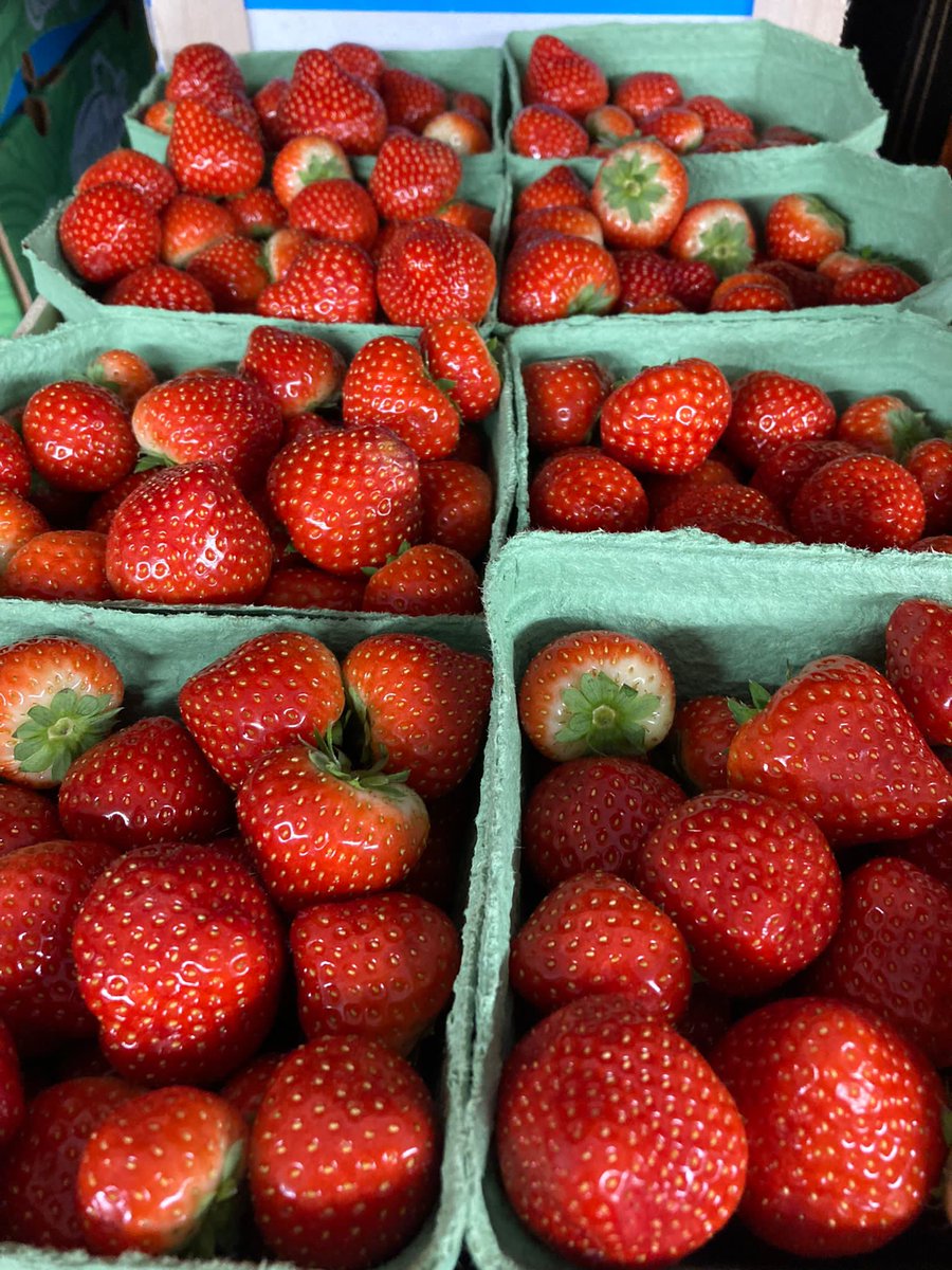 100% plastic-free super fruit from the Netherlands - fantastic physalis and sweet strawberries. Fresh in today - order now on 01756 700244.