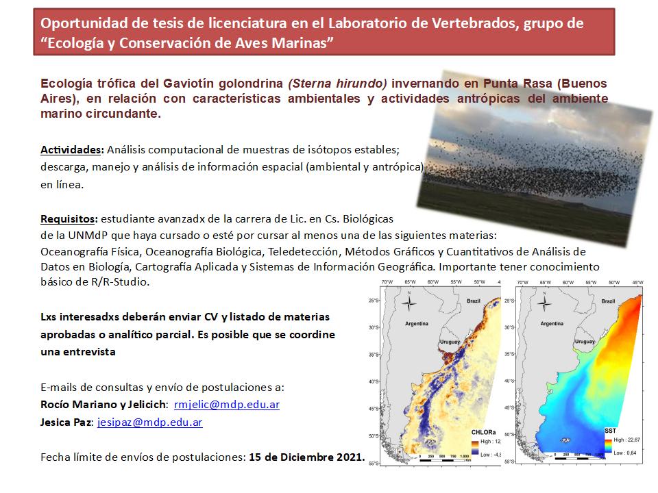 📢📢Atención estudiantes de Biología de la #UNMdP 📢📢
Oportunidad de realizar tesis de Licenciatura en nuestro grupo‼️🧑‍💻
<a href="/fceyn_unmdp/">FCEyN - UNMdP</a> <a href="/RoMJelic/">Ro Mariano Jelicich</a> <a href="/JesipazAndrea/">Jesica Paz</a> 
Fecha límite de envíos de postulaciones: 15 de Diciembre 2021.