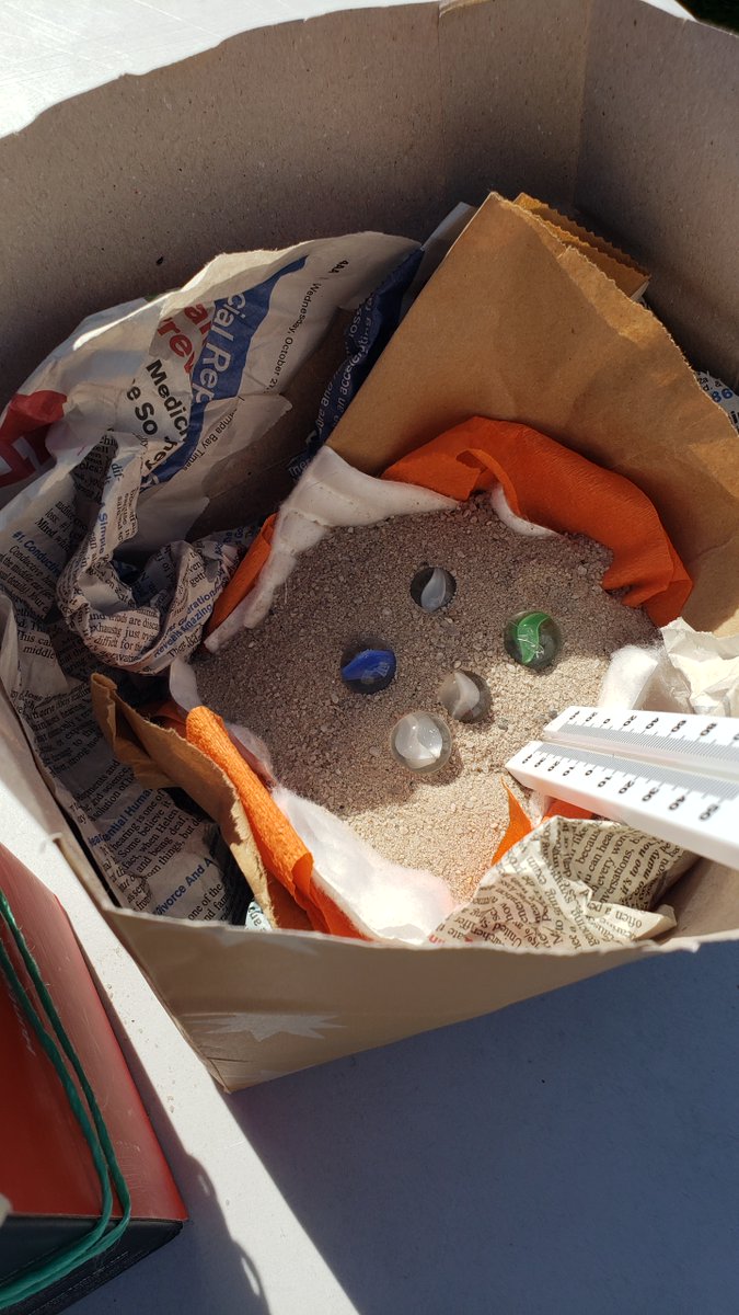 This hands-on investigation blends design thinking with the scientific method as 3rd graders design/test a way to cool sea turtle nests!

Way to go Ms. Morris' class at Skyview ES!

#STEMPinellas <a href="/my_pcs/">Pinellas County Schools</a>