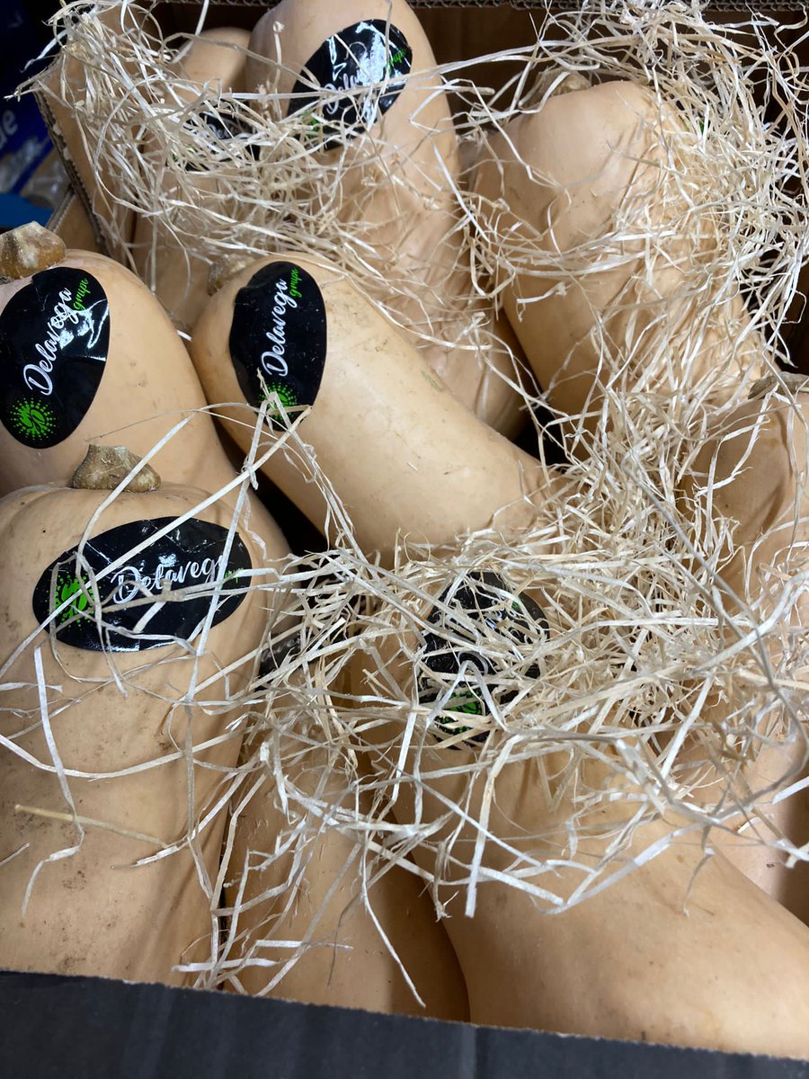 Perfect for warming seasonal dishes your customers will love - Spanish butternut squash and French Jerusalem artichokes. Order now.