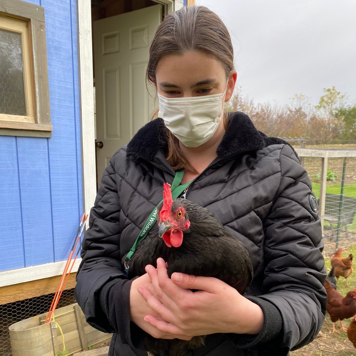 Novi Adult Transition Center tweet media