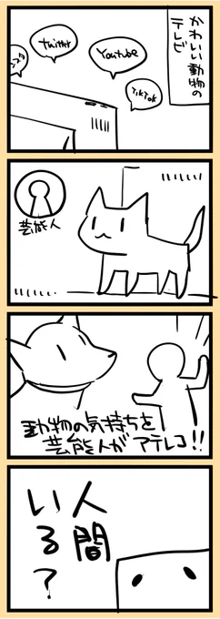 かわいい動物の番組… 
