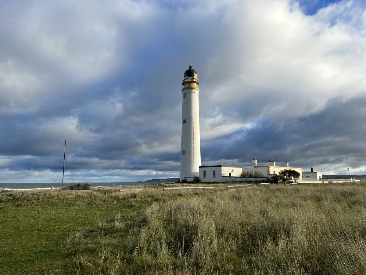 Restructa tweet media