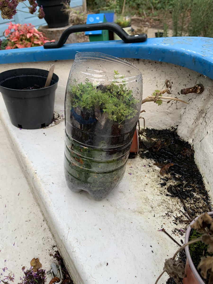 Some excellent wormery’s made tonight!