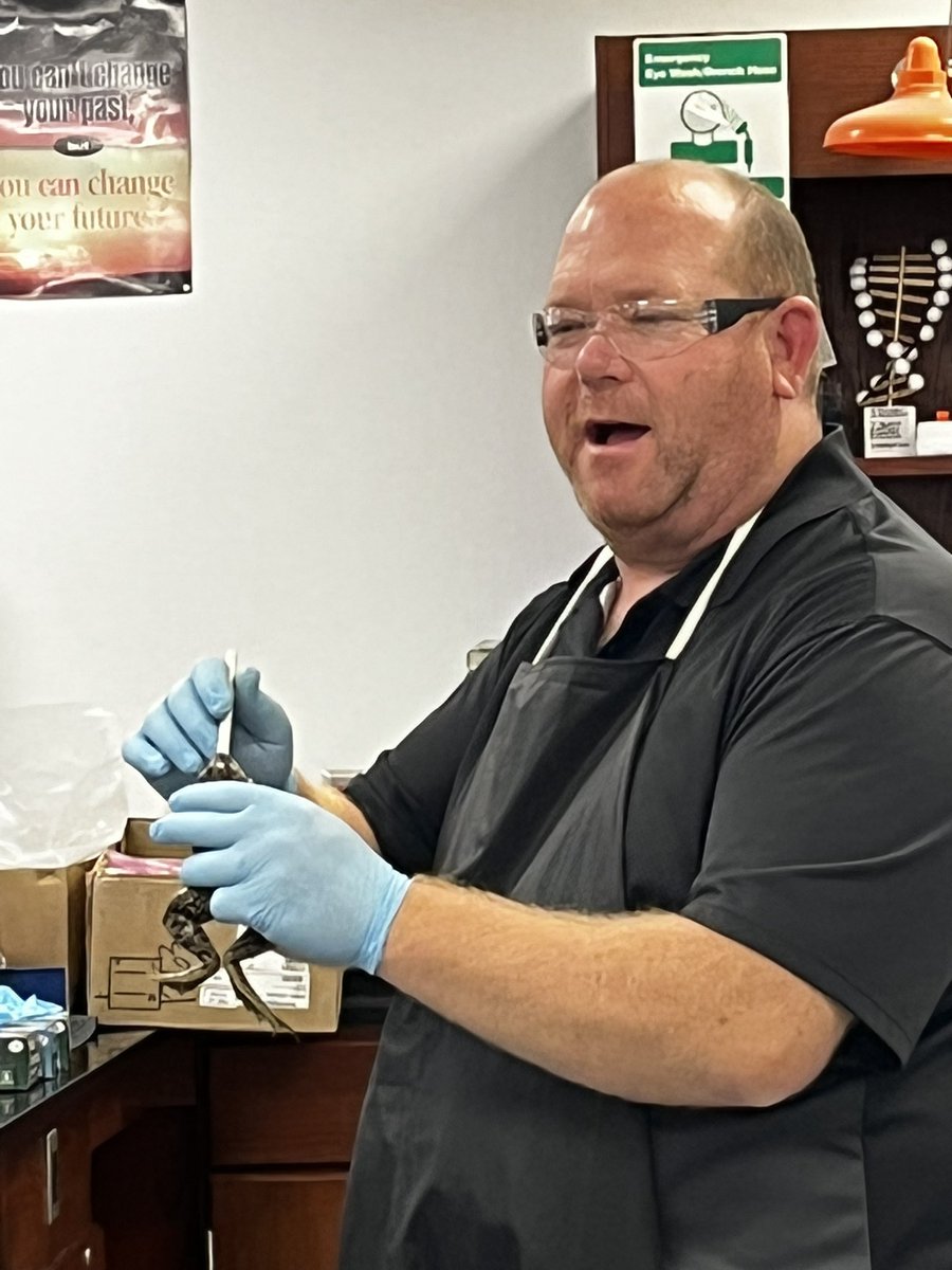 mrsghazzagh's tweet photo. 7th graders are always engaged &amp; fascinated on frog dissection day! I love how much learning takes place during this unit! Great job, @chinaspringMS teachers!  @jessgotanelk12 @clint31171767 #ourWHY @chinaspringisd https://t.co/zdHRDYeDyp
