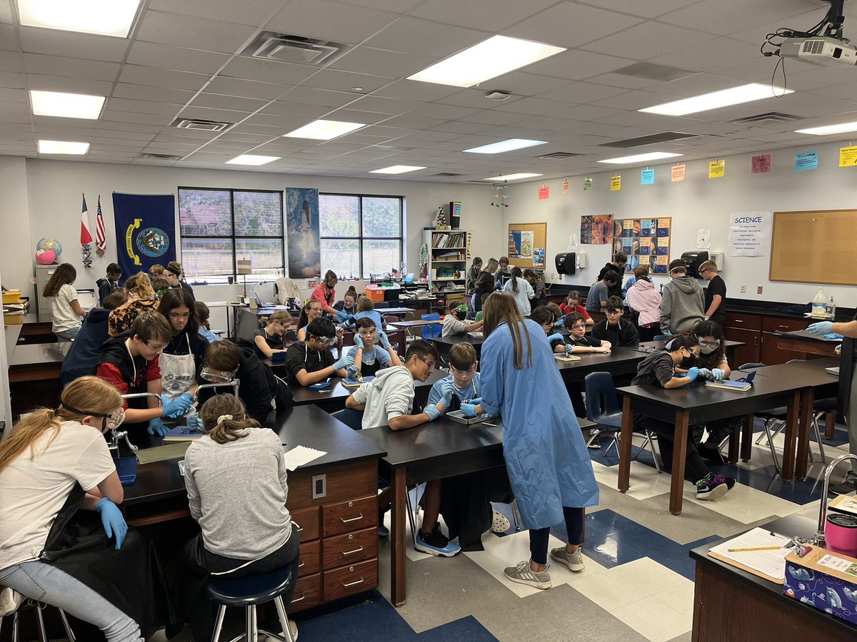 mrsghazzagh's tweet photo. 7th graders are always engaged &amp; fascinated on frog dissection day! I love how much learning takes place during this unit! Great job, @chinaspringMS teachers!  @jessgotanelk12 @clint31171767 #ourWHY @chinaspringisd https://t.co/zdHRDYeDyp
