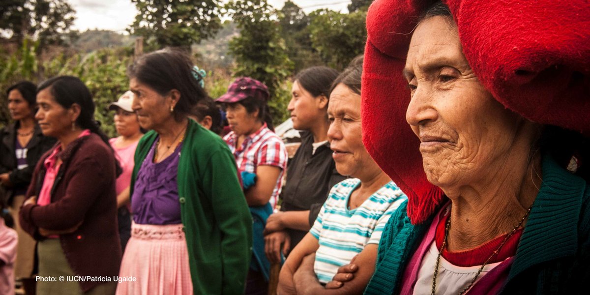 IUCN's tweet photo. Indigenous peoples are often the first and most severely affected by the impacts of #ClimateChange. They are also effective stewards of their lands. 

Supporting them and upholding their rights are central to addressing the #ClimateCrisis https://t.co/7ChRk2aTSH #COP26 https://t.co/QzcfCfCGFg