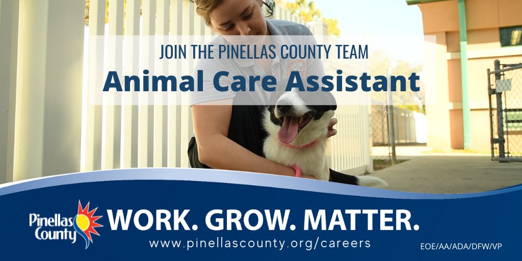 Pinellas Gov Careers Pcgovcareers Twitter