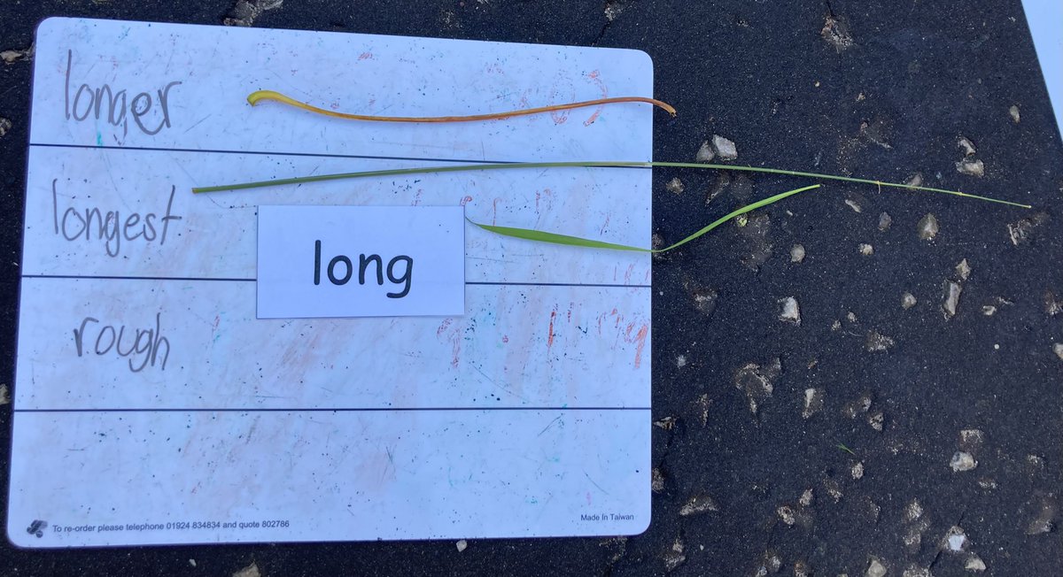 MrsP_rice's tweet photo. We had a great #OutdoorClassroomDay lesson today about comparative and superlative adjectives! Great to get outdoors 🥰 #outdoorfun #outdoorlearning https://t.co/8c9OG0xOpn