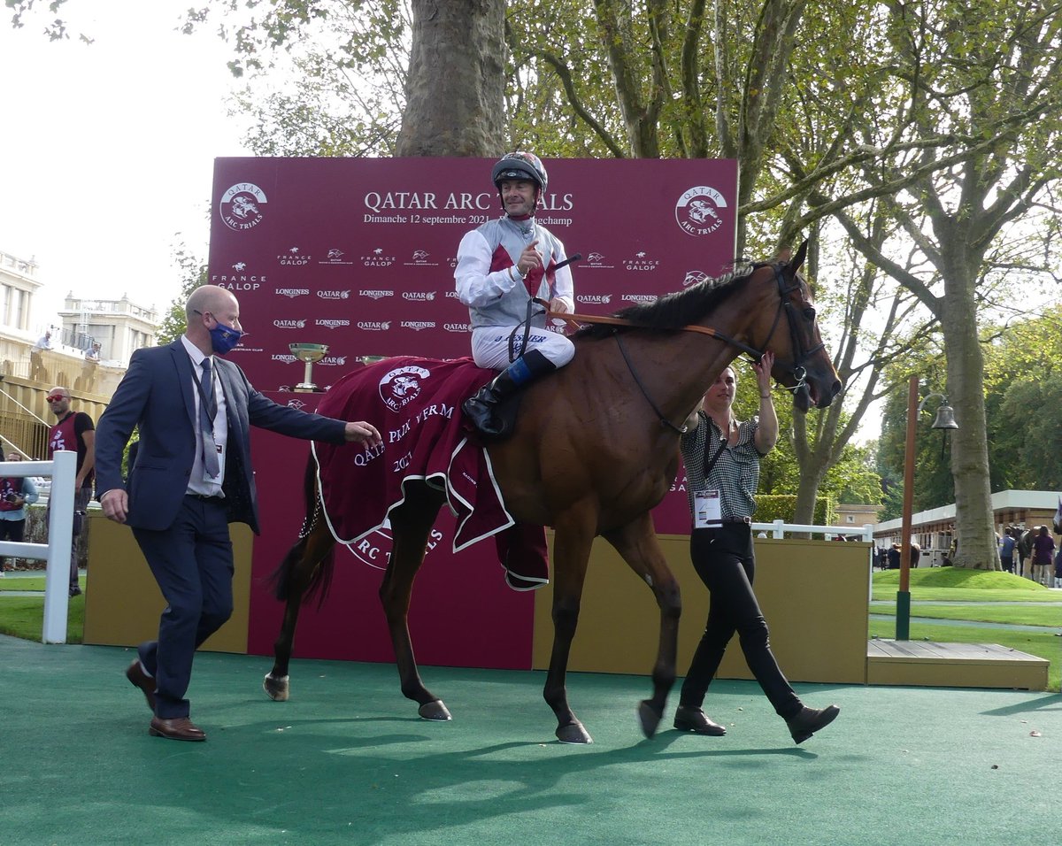 seenthestars's tweet image. A lot of commotion in the markets for #BCTurf with news of two major defections on the US side. Wide draw is a nightmare for #Teona but I  still think she has a lot of upside following Prix Vermeille breakthrough. Also love that @varianstable has been patient for quick ground.