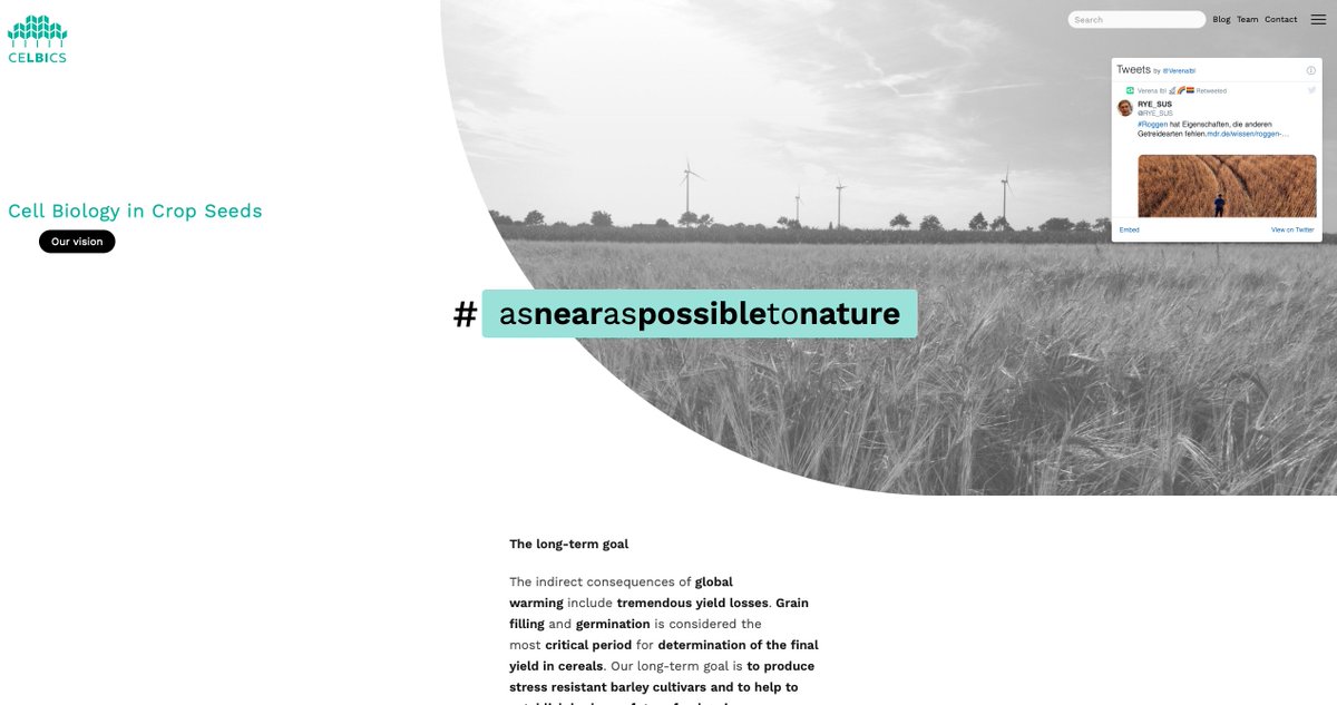VerenaIbl's tweet photo. Very proud and happy to present our homepage that will be online very soon. Stay tuned! #barley #asnearaspossibletonature #droot https://t.co/jezDtmef5U