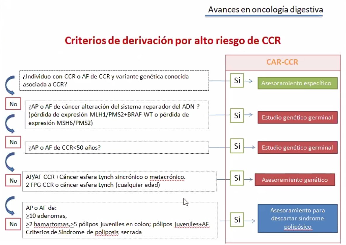 pparadav's tweet photo. 🙋🏼‍♂️¿Cuándo debemos derivar a un paciente a una consulta de alto riesgo de cáncer colorrectal?
@SabeCarballal 
@aegastro #cursojovenaeg2021 https://t.co/28WYLFNRyx