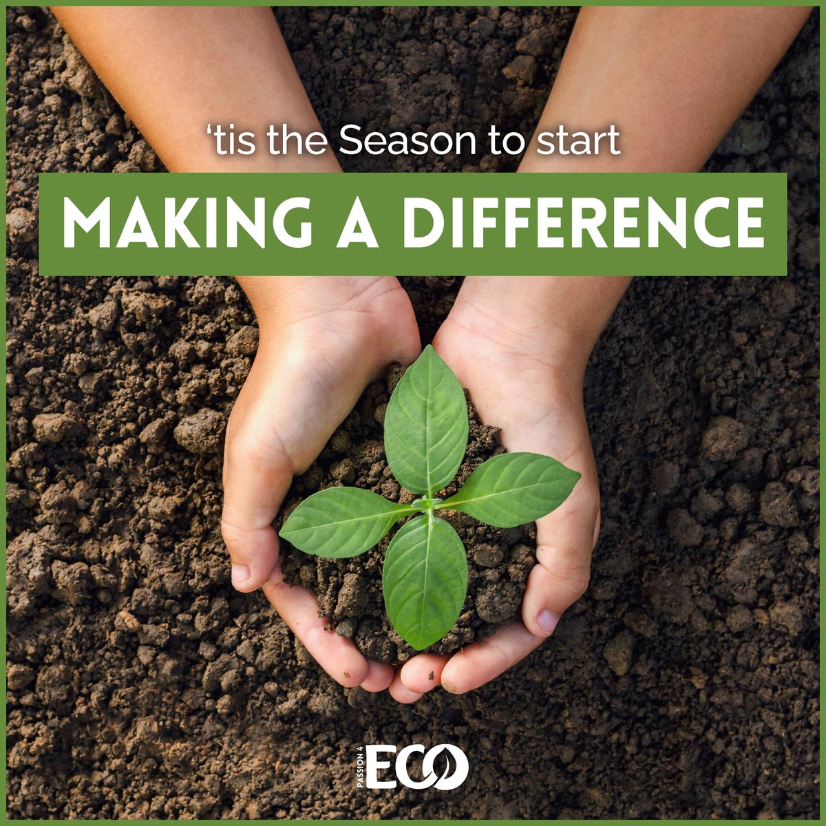 Passion4ECO's tweet photo. Now that we're past the spooky season, it's time to start thinking about how you can make a difference in the world this holiday season! 
...
#Passion4ECO #EnvironmentalConservation #WildlifeConservation #OceanConservation #LetsSaveOurHome https://t.co/Sbuq8uCfS9