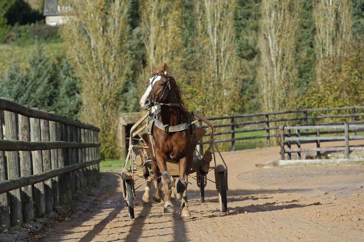 Trotteurs tweet media