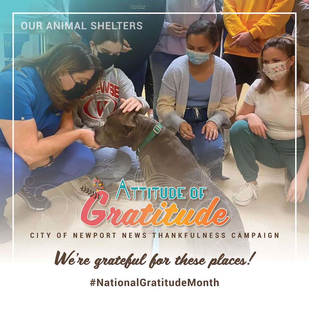 CityofNN's tweet photo. #ThankfulThursday! We're thankful for Peninsula Regional Animal Shelter & all of their great work taking care of animals until they find their FURever homes. Visit the shelter to bring home the newest member of your family! Learn more: https://t.co/zHlrgehvaI #NewsofGratitude https://t.co/pIiXawtRfp