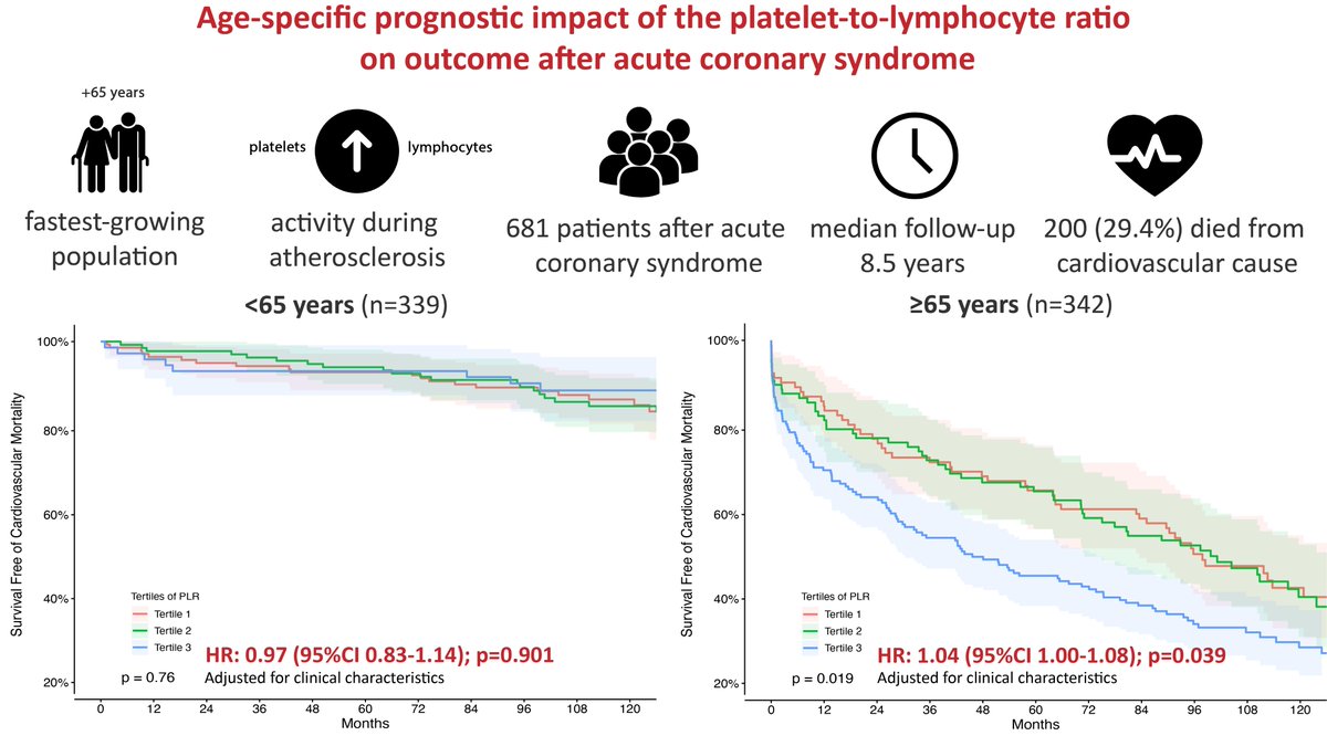 nkazemMD's tweet photo. Increased platelet activity together with inflammatory activation play a key role during acute coronary syndrome. We looked at the age-specific impact of the platelet-to-lymphocyte ratio on outcome: @ESC_Journals @KardiologieWien #ACS #cardiotwitter  https://t.co/RpWw6YcoNQ https://t.co/KAucvY2Shr