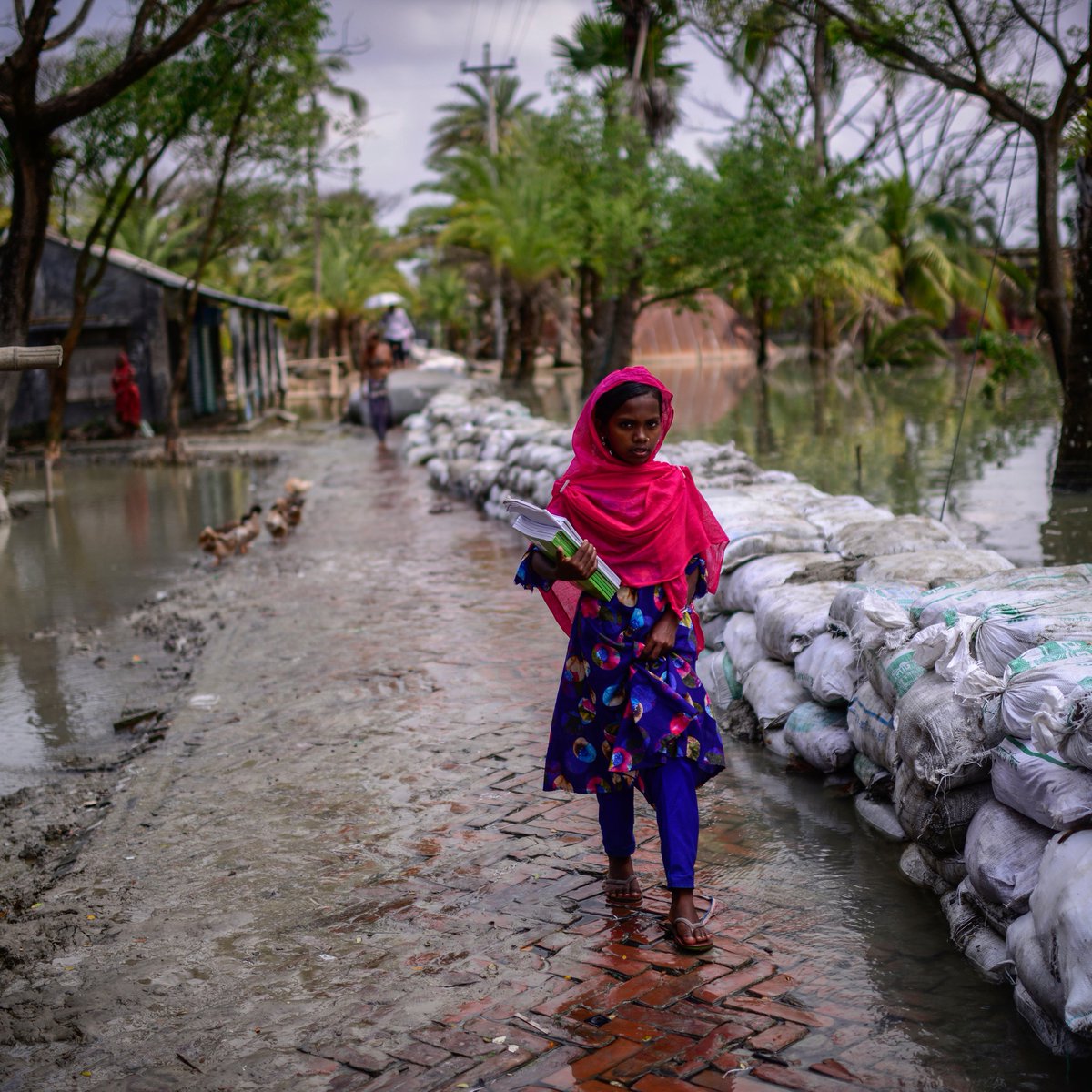 ajplus's tweet photo. Poorer countries need 5-10x more funding to adapt to the climate crisis than they are currently getting.

The UN says poor countries will need $500B/year to build flood and drought defenses. Rich countries (80% of emissions) have yet to even provide the $100B/year they promised. https://t.co/v6Uz8TBDYI