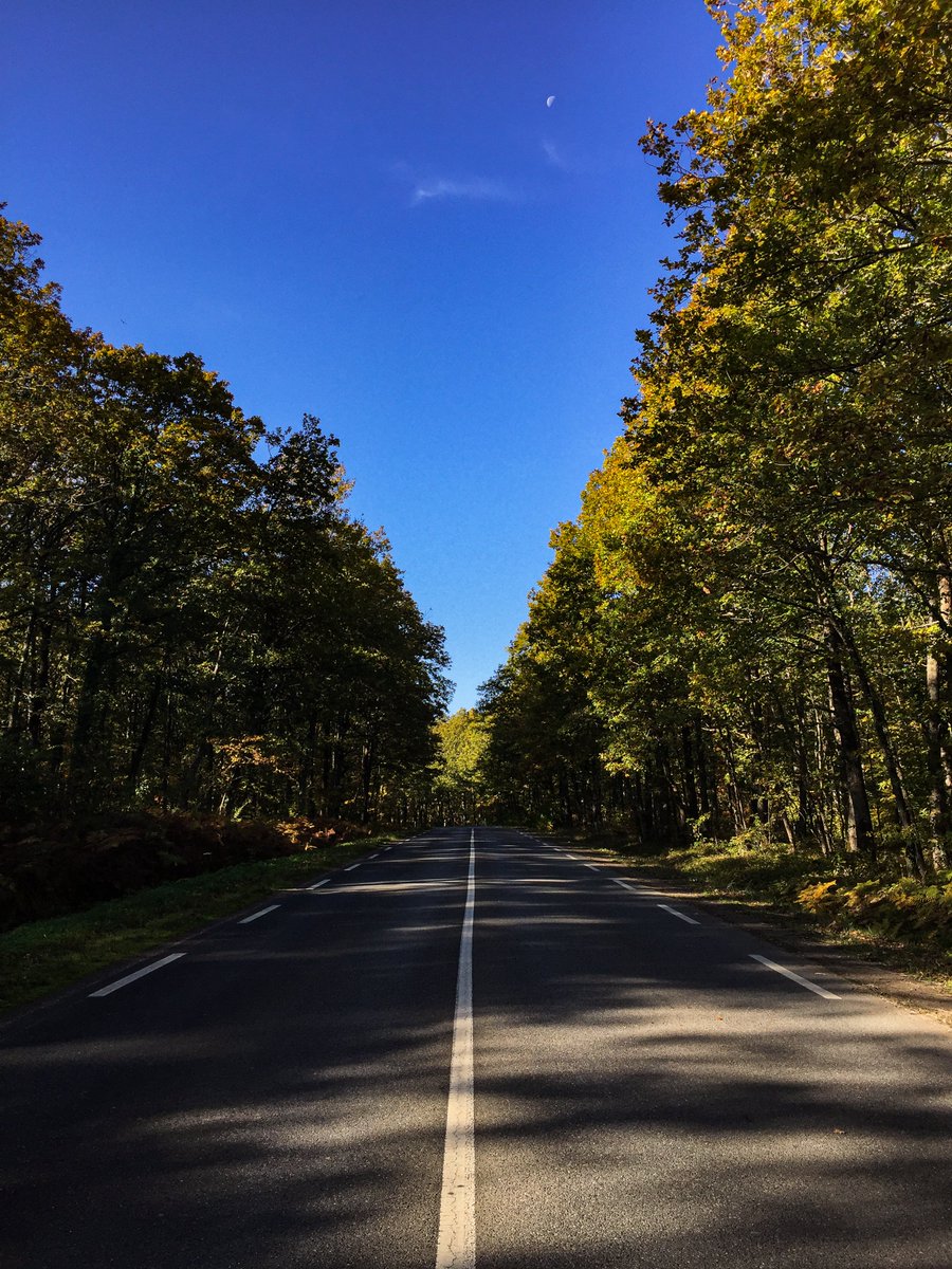 OtGien's tweet photo. S'évader sur les routes Giennoises 🌳
📍 Arrabloy  
📸 (Photo prise par un professionnel ayant pris le soin de regarder à gauche et à droite de la route avant de prendre position 😉) https://t.co/gymiR69zI3