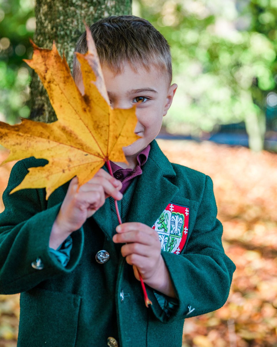 Great fun doing Autumn shots of 
Pre-prep today in the lovely leaves at Stonyhurst. Can’t wait to edit these in colour 🍁 @stonyhurstofficial #autumnphotosession #autumn #kidsportraits #lifestylephotography #colourofautumn #schoolphotography  #leaves #hideandseek