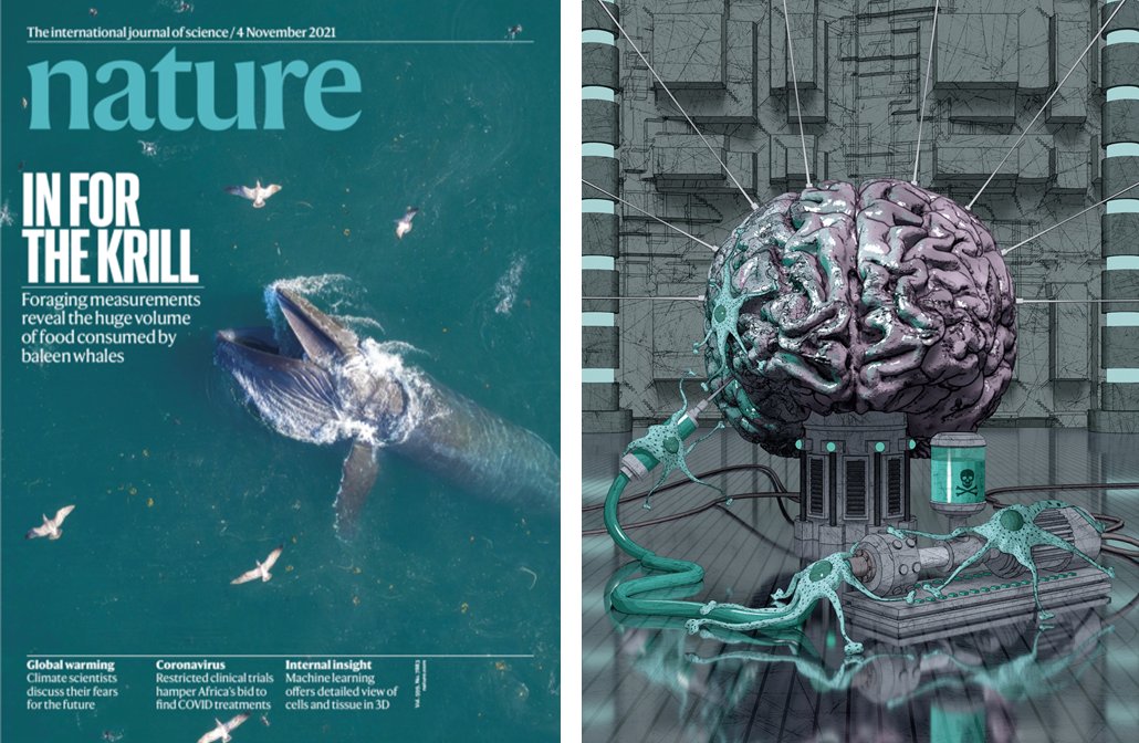 Shane Liddelow ๐ (@liddelowsa) on Twitter photo Color scheme correct, but didn't get the cover.
Thanks @mistgrafik for an amazing illustration of <a href="/kevinguttenplan/">Kevin Guttenplan</a>'s work ๐ก๐ฒ๐๐ฟ๐ผ๐๐ผ๐
๐ถ๐ฐ ๐ฟ๐ฒ๐ฎ๐ฐ๐๐ถ๐๐ฒ ๐ฎ๐๐๐ฟ๐ผ๐ฐ๐๐๐ฒ๐ ๐ถ๐ป๐ฑ๐๐ฐ๐ฒ ๐ฐ๐ฒ๐น๐น ๐ฑ๐ฒ๐ฎ๐๐ต ๐๐ถ๐ฎ ๐๐ฎ๐๐๐ฟ๐ฎ๐๐ฒ๐ฑ ๐น๐ถ๐ฝ๐ถ๐ฑ๐
nature.com/articles/s4158โฆ Color scheme correct, but didn't get the cover.
Thanks @mistgrafik for an amazing illustration of <a href="/kevinguttenplan/">Kevin Guttenplan</a>'s work ๐ก๐ฒ๐๐ฟ๐ผ๐๐ผ๐
๐ถ๐ฐ ๐ฟ๐ฒ๐ฎ๐ฐ๐๐ถ๐๐ฒ ๐ฎ๐๐๐ฟ๐ผ๐ฐ๐๐๐ฒ๐ ๐ถ๐ป๐ฑ๐๐ฐ๐ฒ ๐ฐ๐ฒ๐น๐น ๐ฑ๐ฒ๐ฎ๐๐ต ๐๐ถ๐ฎ ๐๐ฎ๐๐๐ฟ๐ฎ๐๐ฒ๐ฑ ๐น๐ถ๐ฝ๐ถ๐ฑ๐
nature.com/articles/s4158โฆ
