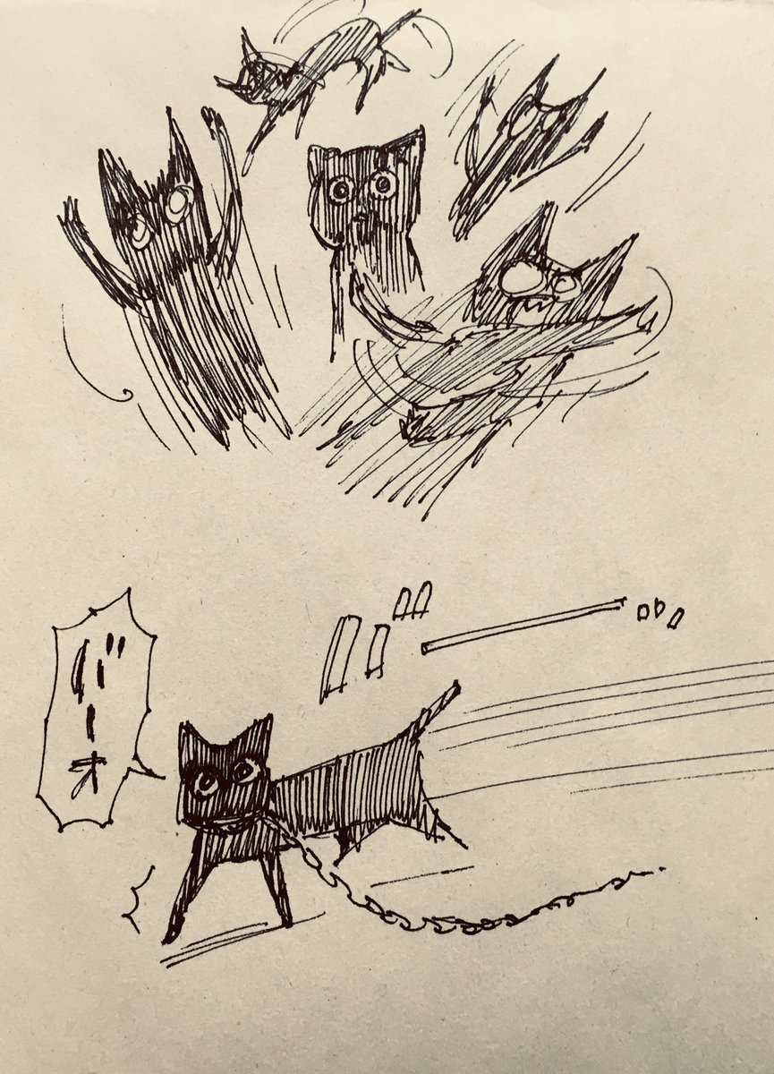うちのねこ(上)とよそのねこ(下) 