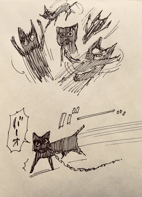 うちのねこ(上)とよそのねこ(下) 