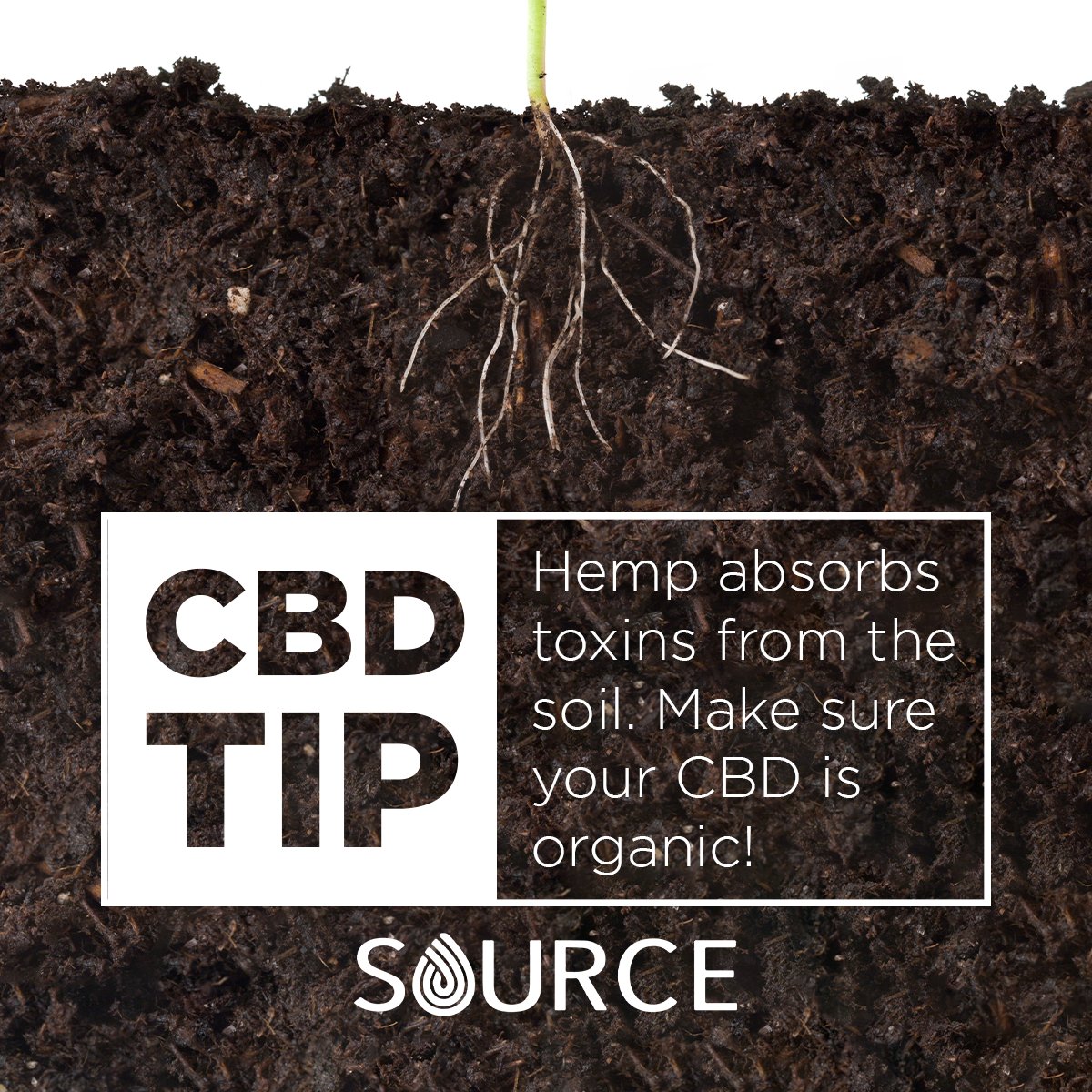 source_hemp's tweet photo. Seriously though, it's important!

#CBD #CBDOil https://t.co/JrrAIzbgzR