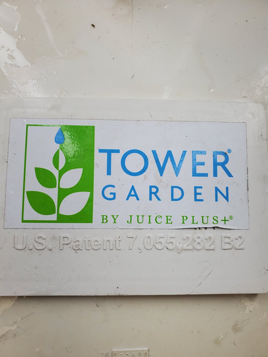 MabletonMaker's tweet photo. 2nd grade planted strawberry plants in our tower garden today. They have water, light, and "nutrients" so they can make their own food. Hopefully we will have strawberries by January!
@MabletonSteam 
@STEMcobb 
@MabletonES 
@TeamGrizzle2006 
@SciSean 
#ultimatelearningexperiance https://t.co/vz95sVEP2S