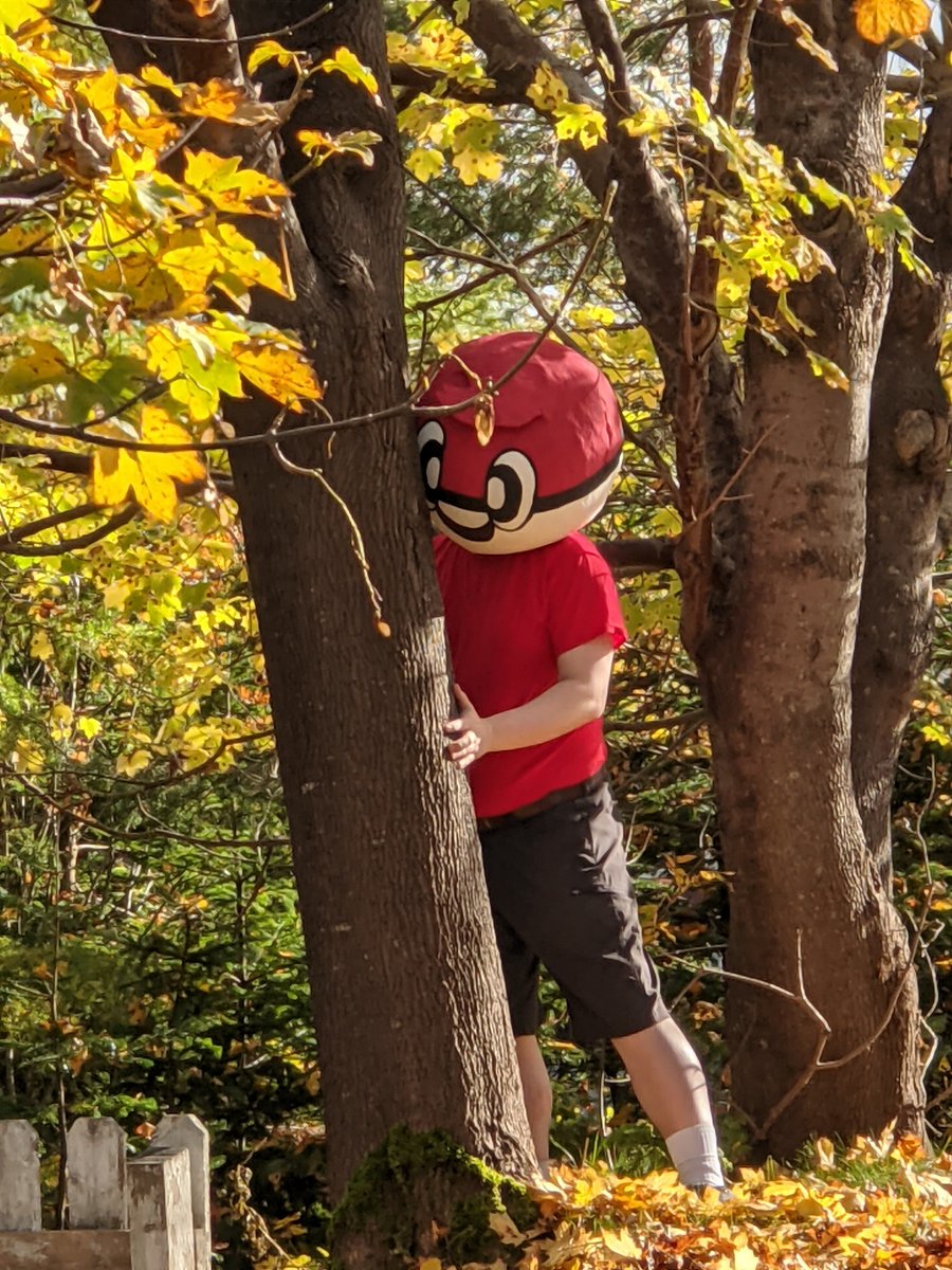 MissQuerade's tweet photo. I made a ball guy head out of paper mache and stuffed @Wils_OW in it for Halloween and thought some of you might enjoy it
 #pokemon https://t.co/25Q10isMK2