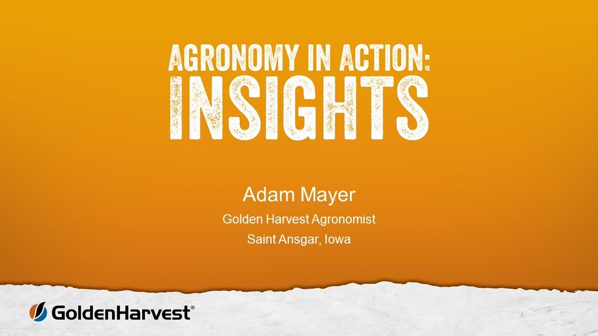 GldnHarvest's tweet image. #Tarspot, what did we learn this year and how how is #GoldenHarvest here to help you combat it next year? See what agronomist Adam Mayer saw from existing #GoldenHarvest hybrids and hybrids coming soon in Agronomy in Action. 

#GoldenHarvest

ow.ly/KMnp50GGivU