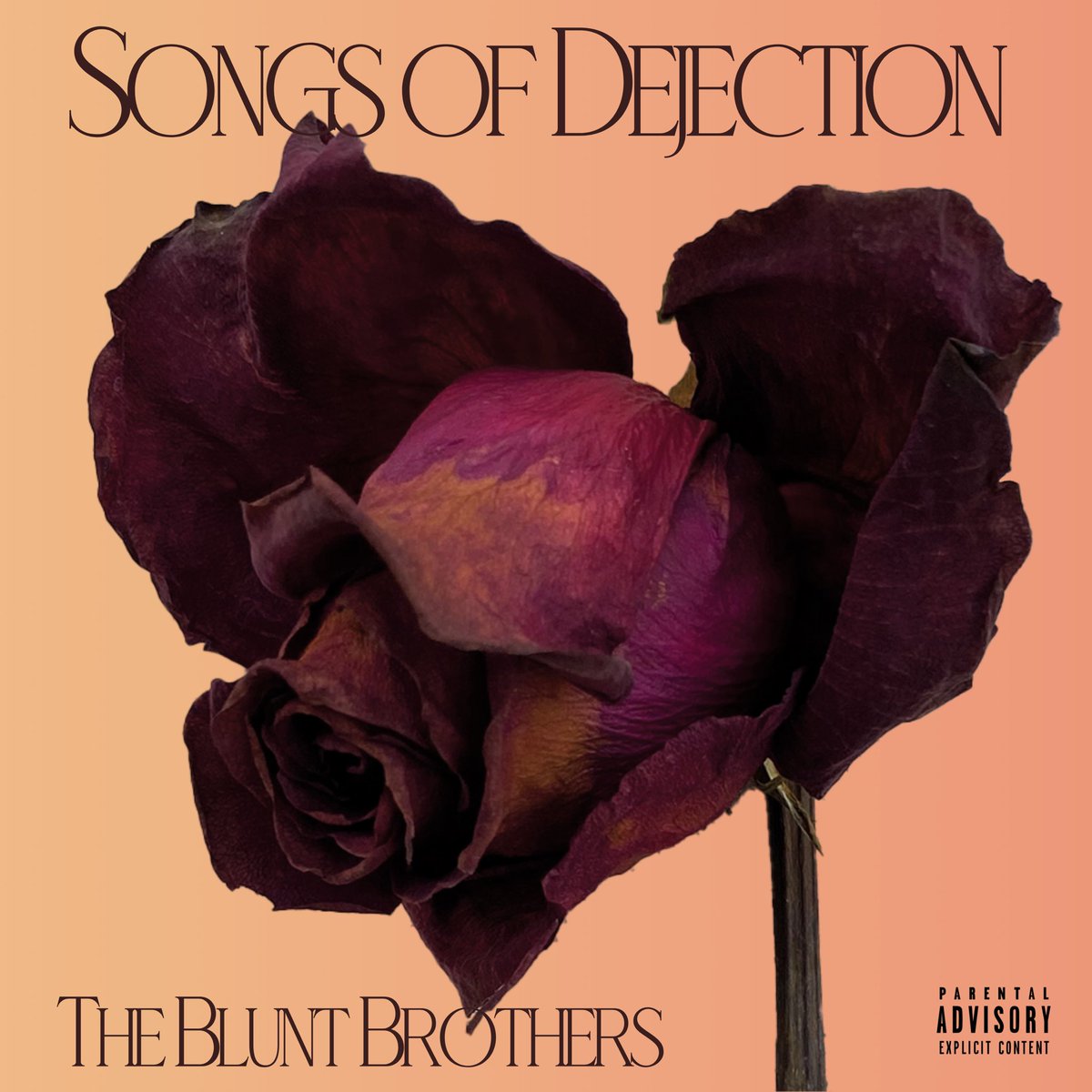 BluntedBrethren's tweet photo. #TheBluntBrothers new album #SongsOfDejection🥀 with Special Guest #YungMiss @YungMiss featuring #NoaJames @NoaJames #AyeBrook @aye_brook and #WillieRage @willie_rage is OUT NOW!! Available to stream everywhere!! #BluntBrosMusic https://t.co/g07tRORfAW