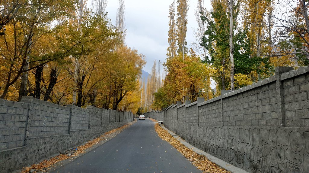 TheOffroader1's tweet photo. Ghizer today 🤩 #trout #ghizer #bamedunya #ishkoman #chatorkhand #autumn #colours #GilgitBaltistan https://t.co/MFQKQwnKZL