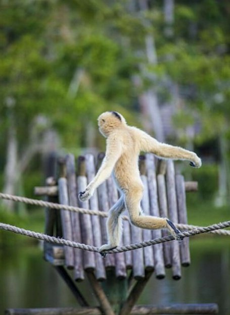 noodlegibbon's tweet photo. casaul jog https://t.co/dhYaWGHp3O