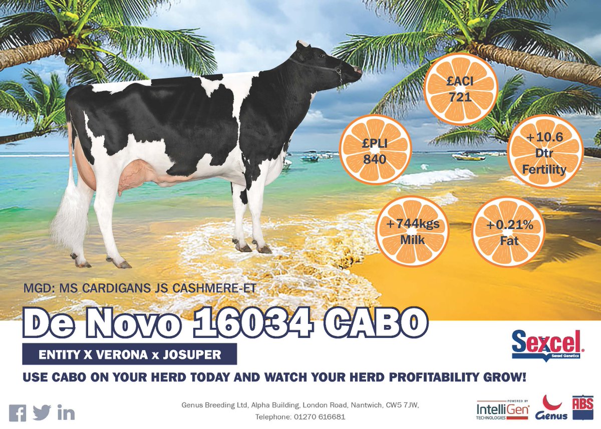 GenusABS's tweet photo. 📣Introducing our new Sexcel® sire
De Novo 16034 CABO!
ENTITY x VERONA x JOSUPER
💥£PLI 840
💥ACI 721
+10.6 Daughter Fertility
+744kgs Milk
+0.21% Fat
#ProfitFromGeneticProgress https://t.co/RczFWMdh6R