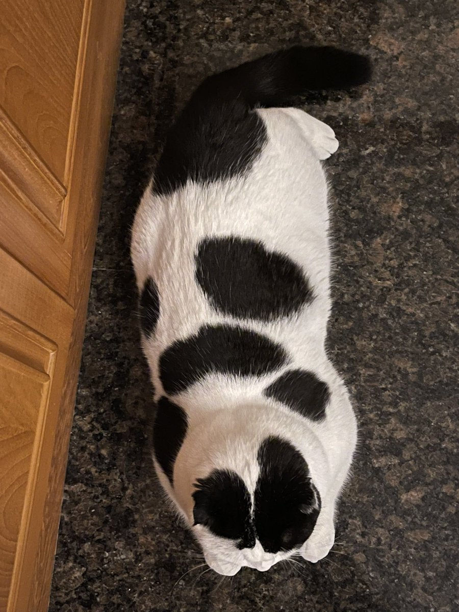 เห้ยเธอ 10เดือนเองนะ ค่อยๆโตได้มั้ย