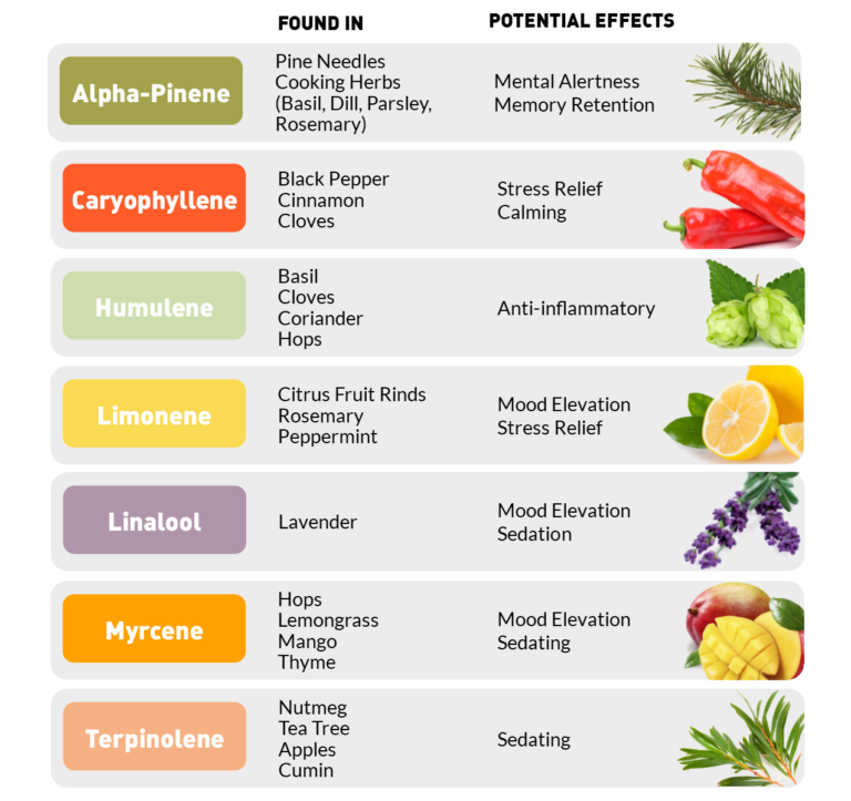 RebalanLowDose's tweet photo. https://t.co/fmEiSWdsyo Most people only focus on THC and/or CBD when choosing cannabis products. Terpenes can play a major role in a product's effect. Learn more in this post. #cannabis #cannabiseducation #terpenes #stressrelief #sleepaid https://t.co/jKI90EFYMq