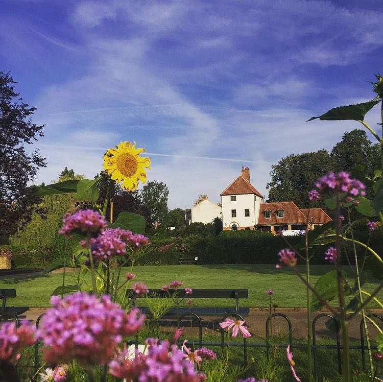 Fr_RowntreePark's tweet photo. How wonderful has the Sensory Garden in Rowntree Park looked this year? A huge thanks to our Tuesday gardening volunteers (and those who support the charity through membership)  #friendsofparks #yorkuk #york #volunteers https://t.co/pcA5STQMZz