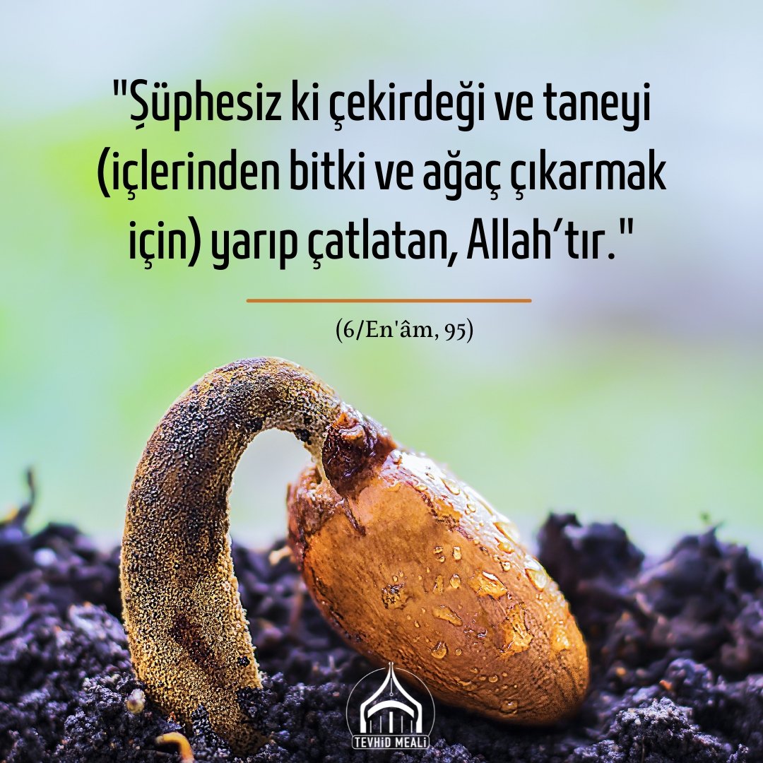tevhidmeali's tweet photo. " (O halde) Allah’la beraber başka bir ilaha dua etme. ... "

(26/Şuarâ, 213) https://t.co/zstWswNjgl