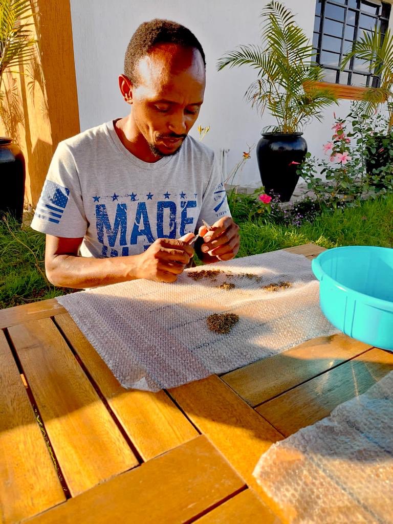 bawa_hope's tweet photo. Everyone can rise above their circumstances and achieve success if they are dedicated to and passionate about what they do.

- Nelson Mandela https://t.co/UFmRVp8VoV