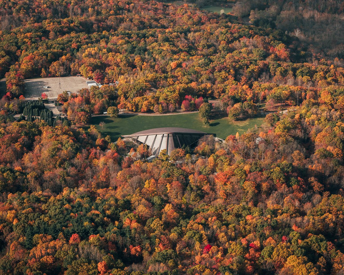 JonRudder's tweet photo. Blossom in full fall color. 🍂 https://t.co/SE3ATBDk69