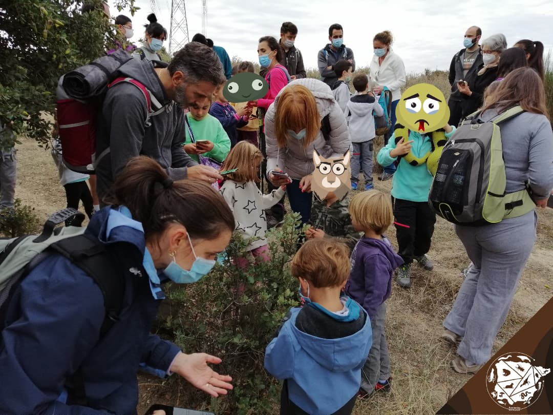 iberozoa's tweet photo. 🏞️ A TRAVÉS DE LA NATURALEZA TRICANTINA 🐸
Este octubre realizamos 7 #rutas con familias y jóvenes por distintos enclaves del entorno de #TresCantos, gracias a un proyecto que aprobó en junio el Ayuntamiento. 
👇 Han participado 262 personas y hemos visto 88 especies @ayto3cantos https://t.co/g8Y5VDLevh