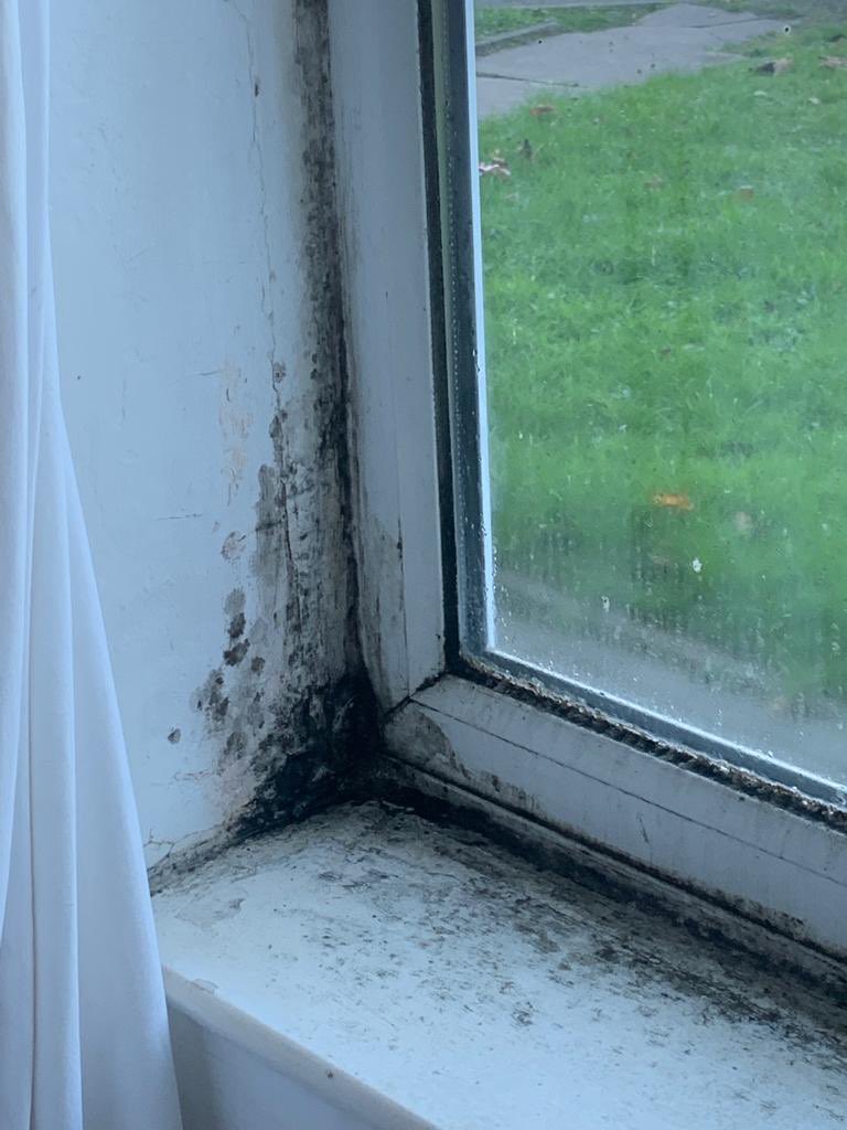 sam1ssk's tweet photo. @PlusDane this is disgusting despite numerous calls to get this sorted out. This is a vulnerable persons home and you still do nothing. she’s thrown out clothes, shoes and mattresses due to this. #dampandmould #ukhousing #housingshame @DanielHewittITV https://t.co/YBa0HZPQ2D