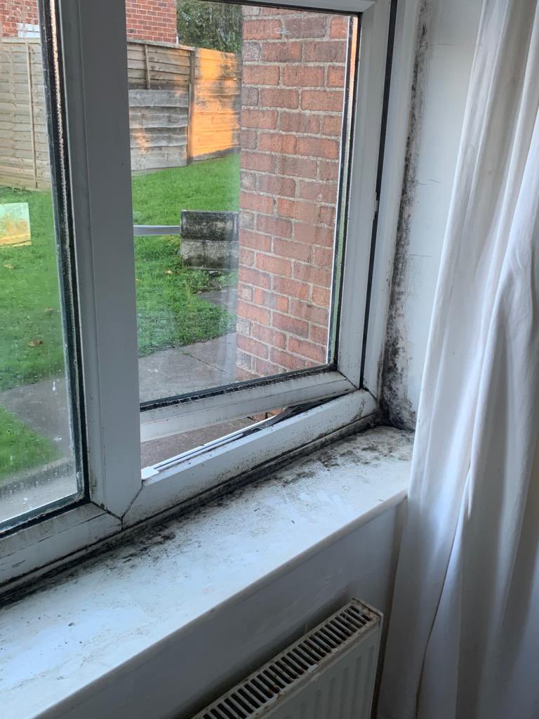sam1ssk's tweet photo. @PlusDane this is disgusting despite numerous calls to get this sorted out. This is a vulnerable persons home and you still do nothing. she’s thrown out clothes, shoes and mattresses due to this. #dampandmould #ukhousing #housingshame @DanielHewittITV https://t.co/YBa0HZPQ2D