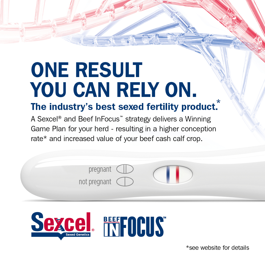 britishdairying's tweet photo. One result you can rely on.
Use a Sexcel® & Beef InFocus™ strategy to generate unbeatable, step-changing genetic progress for your dairy herd.
Read more in Dairy Farmer, British Dairying & Cow Management!
#WinningGamePlan #BetterFertilityBetterGenetics #Sexcel #BeefInFocus https://t.co/KquQ09Oej8